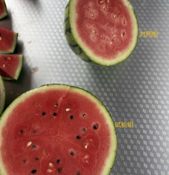 693fa932-adf1-498b-b9c1-aef4f3d947a4.png