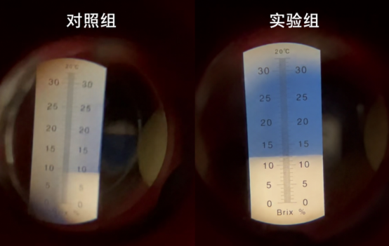 e839543f-0d56-4758-8934-58a4f1de5e50.png