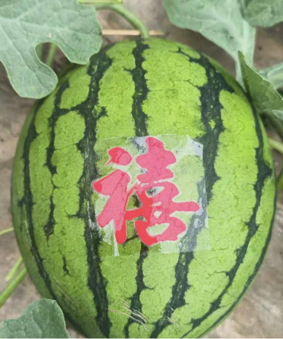 d0dc9c6b-02ce-4b9f-9343-612b3d3ef414.png