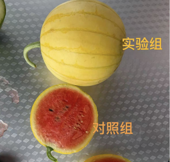 446ff13f-46db-4eca-8cc8-e6b6272a44f0.png