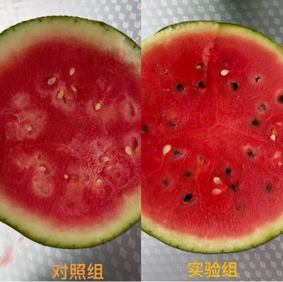 93bfd964-b82b-468f-b95e-9c5b4dd1943a.png