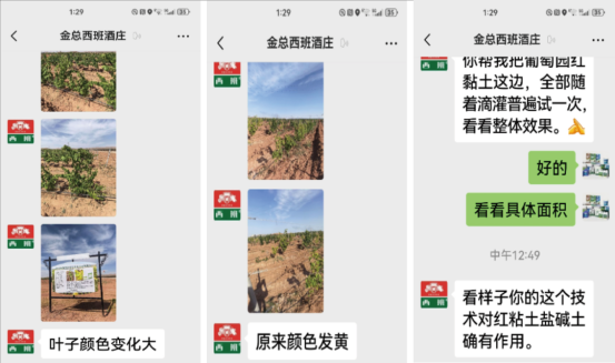 c134c8cd-5b75-4629-be71-dc9c78c83bd6.png